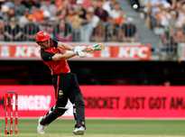 不俗的成长 不俗的成长